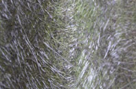 Rimbleton fibreglass roof work